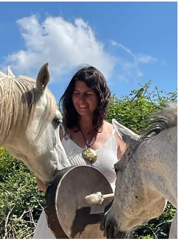 ALISON LINO ALISON LINO